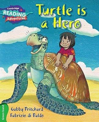 海龟是英雄绿带