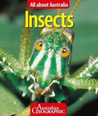 澳大利亚全貌:昆虫