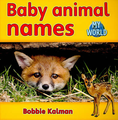 动物宝宝的名字:我的世界里的动物