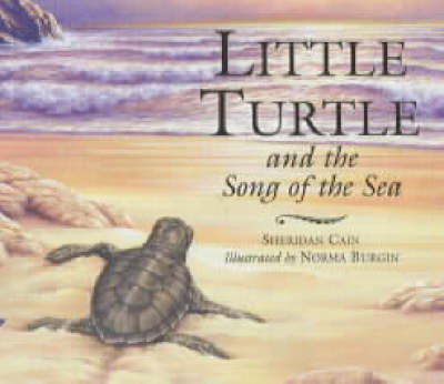 《小海龟与海之歌》