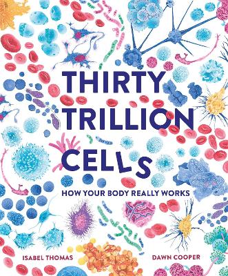 30万亿个细胞:你的身体是如何工作的