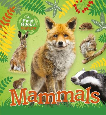 我的第一本书:哺乳动物