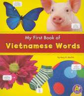 我的第一本越南语书
