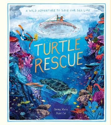 海龟救援:拯救海洋生物的野外冒险
