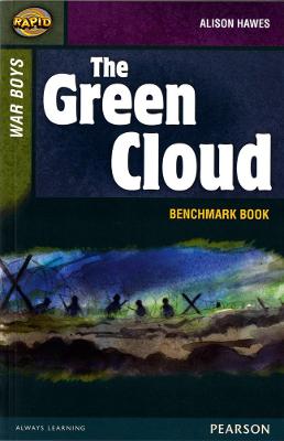 快速阶段8评估书:绿色云