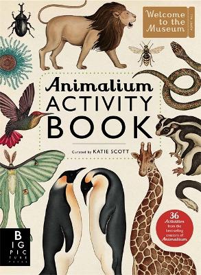 动物活动手册
