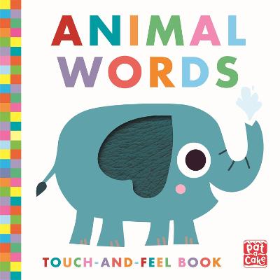 触摸和感觉:动物词汇:板书
