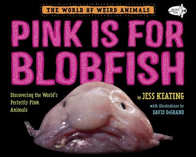 粉红色是给水滴鱼的:发现世界上完美的粉红色动物