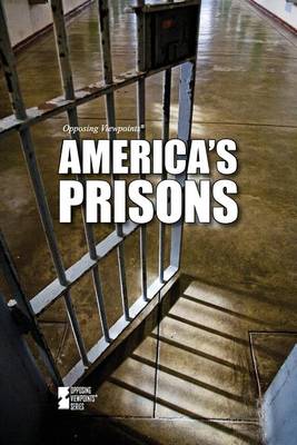 美国的监狱