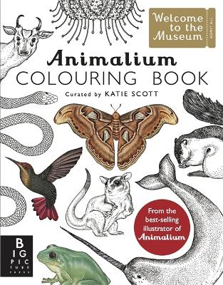 动物涂色书