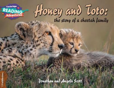Honey和Toto:猎豹家庭的故事1探路者