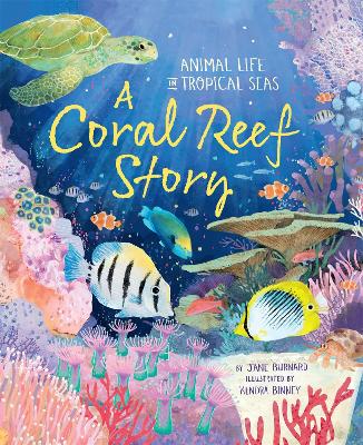 珊瑚礁的故事:热带海洋中的动物生活
