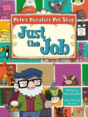 Bug Club绿松石B/1A Pete's Peculiar Pet Shop: Just the Job 6瓶装