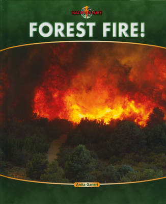自然之怒:森林大火
