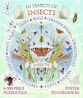 寻找昆虫拼图和海报